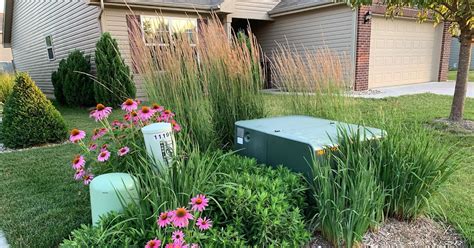 best plants to cover electrical boxes|shrubs to hide water boxes.